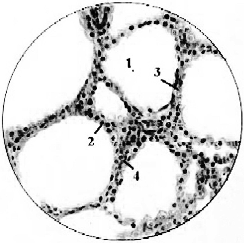 Abstract Image