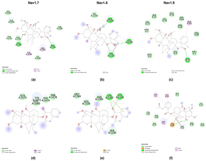 <i>In silico</i> exploration of bioactive secondary metabolites with anesthetic effects on sodium channels Nav 1.7, 1.8, and 1.9 in painful human dental pulp.