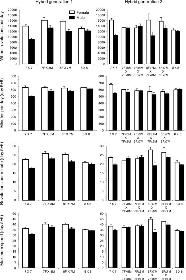 Can a Hybrid Line Break a Selection Limit on Behavioral Evolution in Mice?