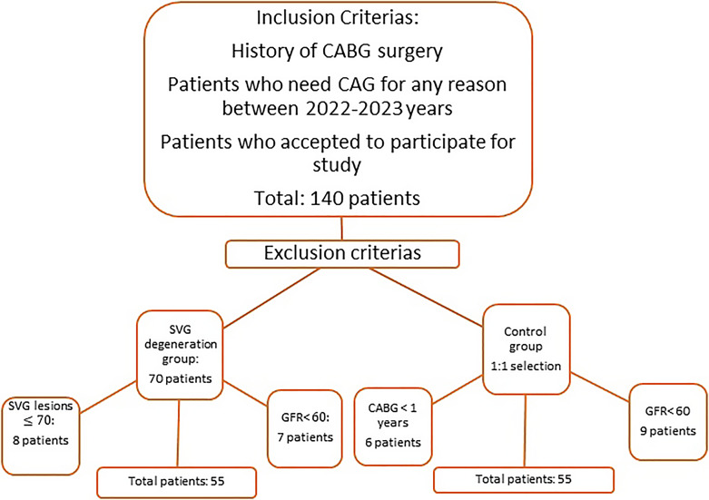 The Role of Advanced Glycation End Products in Saphenous Vein Graft Failure.