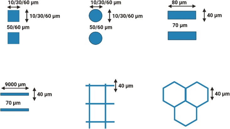 The influence of biomimetic conditions on neurogenic and neuroprotective properties of dedifferentiated fat cells.