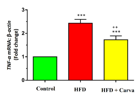 The effects of carvacrol on the cardiac apoptosis gene expression levels in heart tissue of obese male rats induced by high-fat diet.
