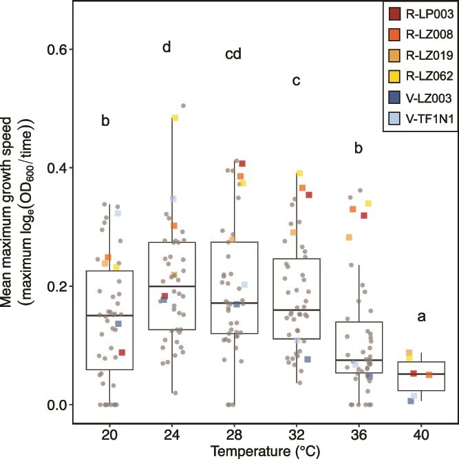 Temperature influences outcomes of an environmentally acquired symbiosis.
