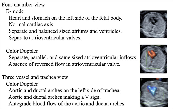 Factors affecting the accuracy of fetal cardiac ultrasound screening in the first trimester of pregnancy.