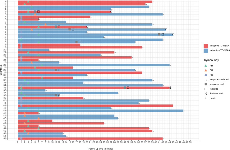 Long-Term Follow-Up of Eltrombopag Treatment for Patients with Cyclosporin A Refractory/Relapsed Transfusion-Dependent Non-Severe Aplastic Anemia: A Report from a Single Center in China.