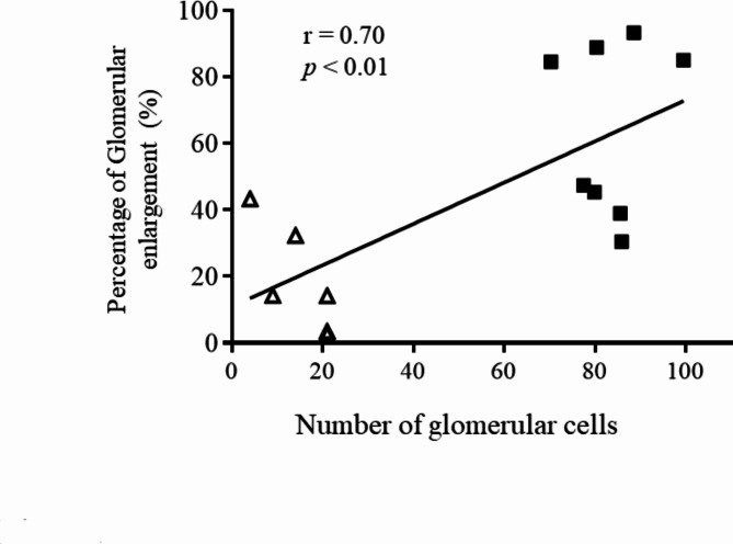 Hydrogen gas inhalation ameliorates glomerular enlargement after hypoxic-ischemic insult in asphyxiated piglet model.