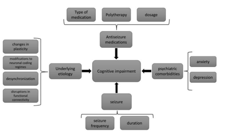 Anti-seizure Medication Induced Cognitive Impairment in Children with Epilepsy: A Narrative Review.