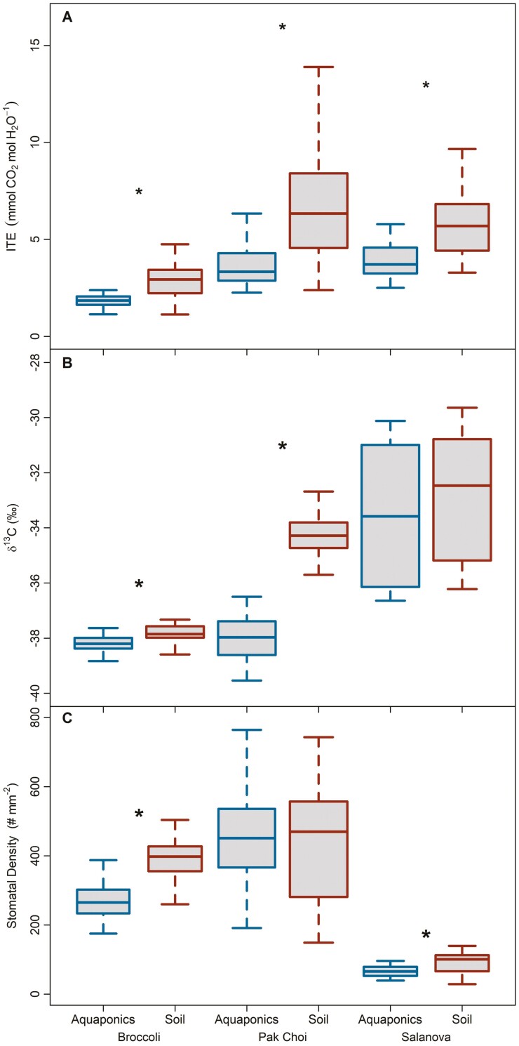 Acclimation of functional traits leads to biomass increases in leafy green species grown in aquaponics.