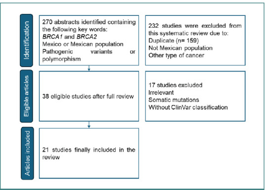 Pathogenic variants in <i>BRCA1</i> and <i>BRCA2</i> genes associated with female breast and ovarian cancer in the Mexican population.