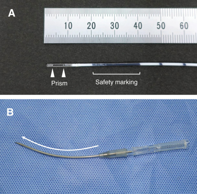 Supplement of Clinical Practice Guidelines for Endovenous Thermal Ablation for Varicose Veins 2019: Laser Ablation of Varicose Tributaries.
