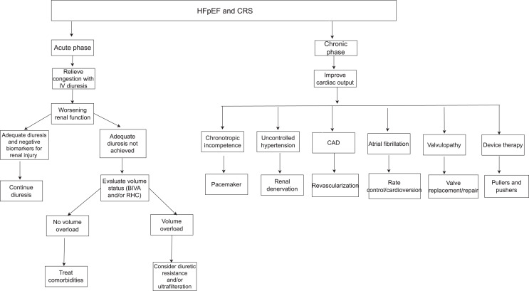 Cardiorenal Syndrome in Heart Failure with Preserved Ejection Fraction: Insights into Pathophysiology and Recent Advances.