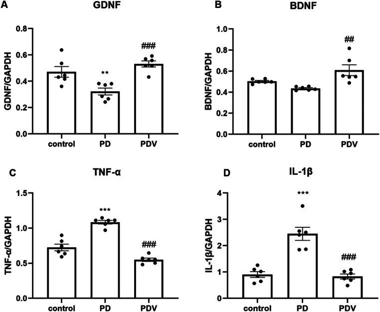 Modulation of Intestinal Inflammation and Protection of Dopaminergic Neurons in Parkinson's Disease Mice through a Probiotic Formulation Targeting NLRP3 Inflammasome.