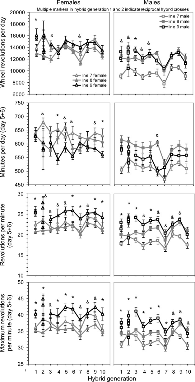 Can a Hybrid Line Break a Selection Limit on Behavioral Evolution in Mice?