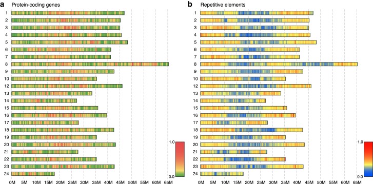 The genome of the cryopelagic Antarctic bald notothen, Trematomus borchgrevinki.
