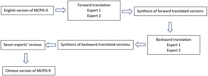 Translation and cultural adaption of MacLeod Clark professional identity scale among Chinese therapy students.