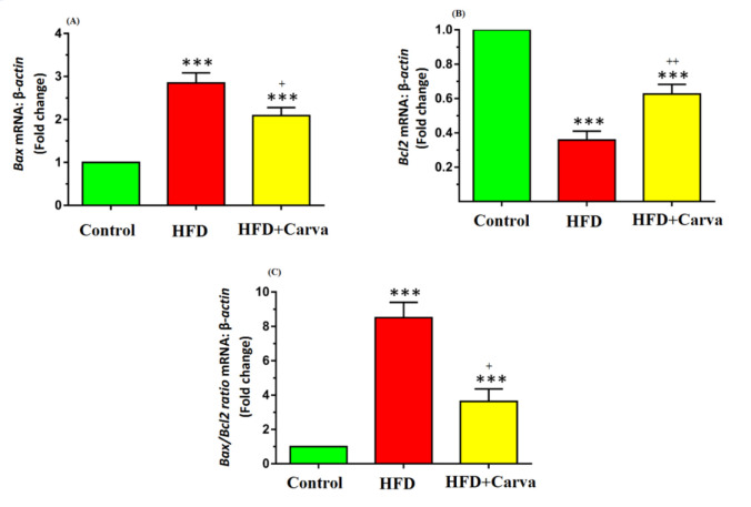 The effects of carvacrol on the cardiac apoptosis gene expression levels in heart tissue of obese male rats induced by high-fat diet.