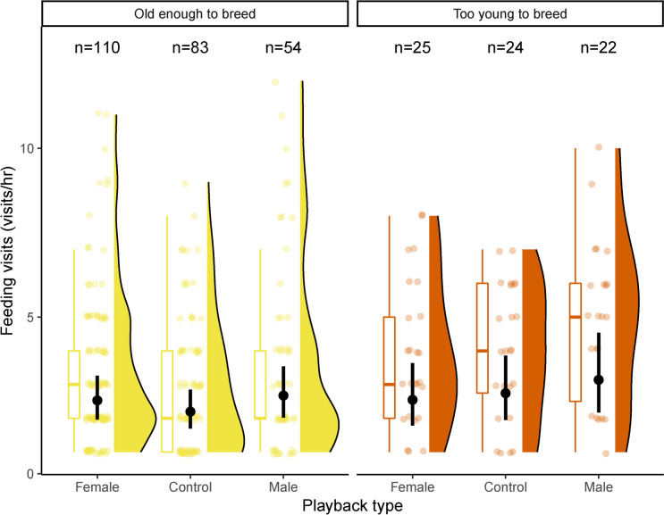 Is provisioning rate of parents and helpers influenced by the simulated presence of novel individuals?