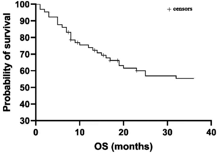 Efficacy Analysis of Hypofractionated Radiotherapy for Oligometastatic Tumors: A Retrospective Study.