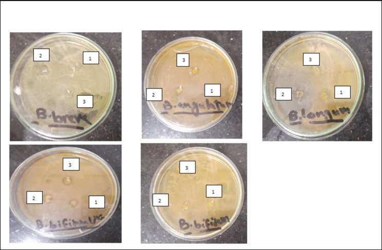 Biosynthesis and health promoting traits of green synthesized cobalt oxide nanoparticles.