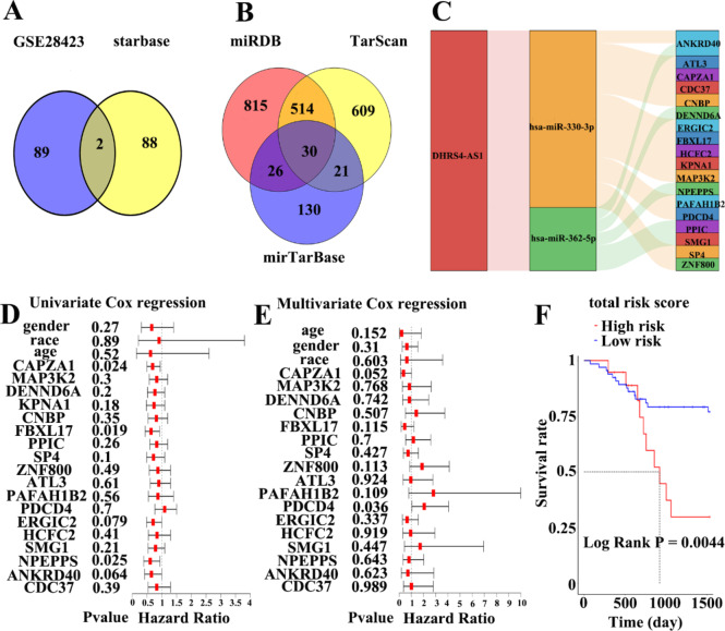 Long noncoding RNA DHRS4 antisense RNA 1 suppresses osteosarcoma cell proliferation and promotes apoptosis through a competitive endogenous RNA mechanism.
