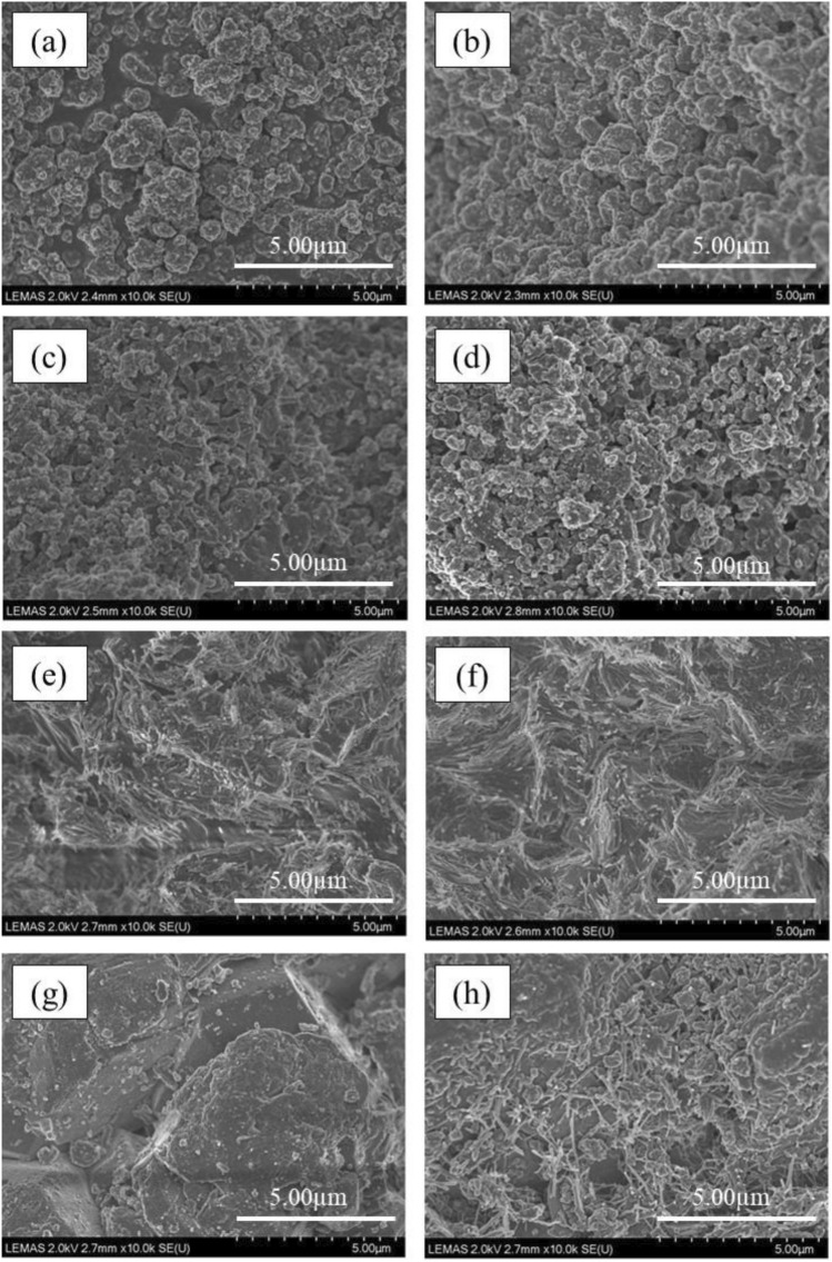 Pyrolysis/Non-thermal Plasma/Catalysis Processing of Refuse-Derived Fuel for Upgraded Oil and Gas Production.