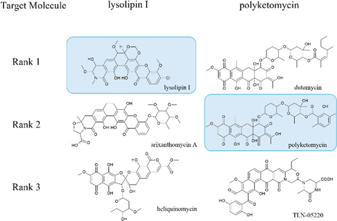 MultiT2: A Tool Connecting the Multimodal Data for Bacterial Aromatic Polyketide Natural Products.