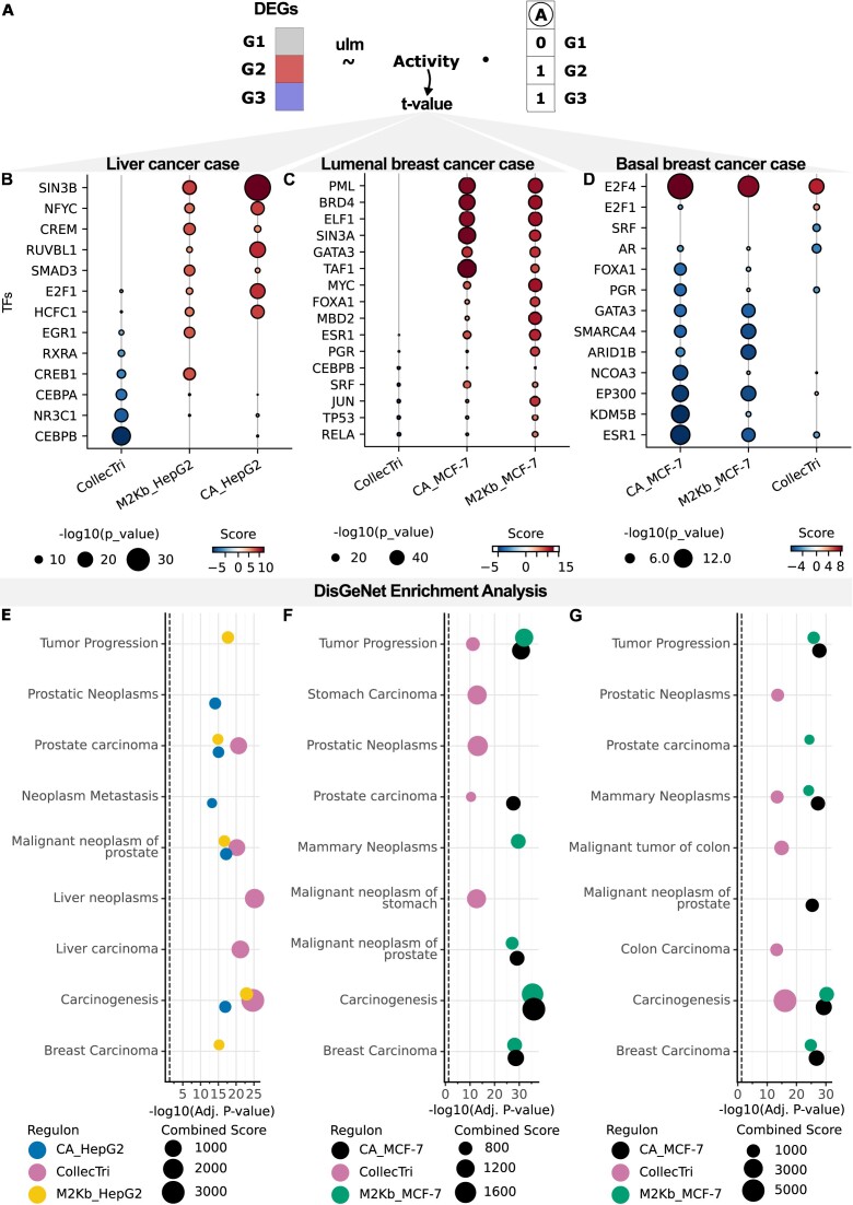 Specifying cellular context of transcription factor regulons for exploring context-specific gene regulation programs.