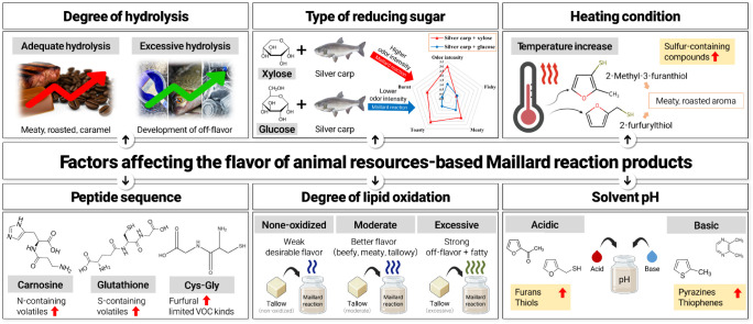Application of Animal Resources into the Maillard Reaction Model System to Improve Meat Flavor.