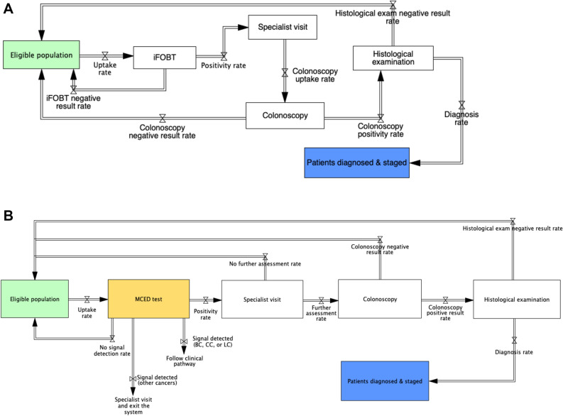 Integrating Multi-Cancer Early Detection (MCED) Tests with Standard Cancer Screening: System Dynamics Model Development and Feasibility Testing.