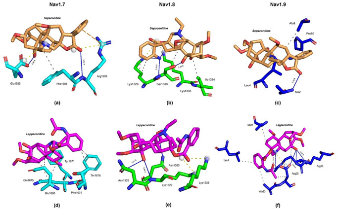 <i>In silico</i> exploration of bioactive secondary metabolites with anesthetic effects on sodium channels Nav 1.7, 1.8, and 1.9 in painful human dental pulp.