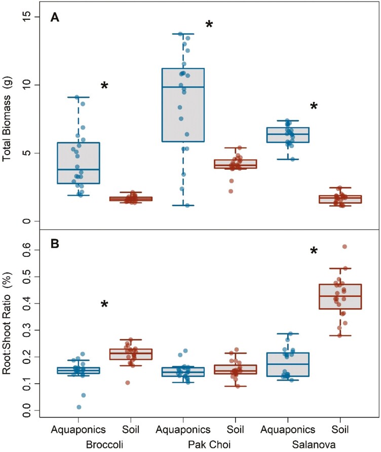 Acclimation of functional traits leads to biomass increases in leafy green species grown in aquaponics.
