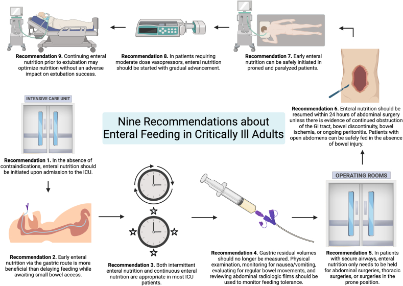 Nine Myths about Enteral Feeding in Critically Ill Adults: An Expert Perspective