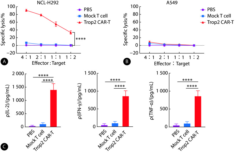 [Preparation of Trop2-Targeted CAR-T Cells Based on Nanobodies and Their Antitumor Effects Against Non-Small Cell Lung Cancer].