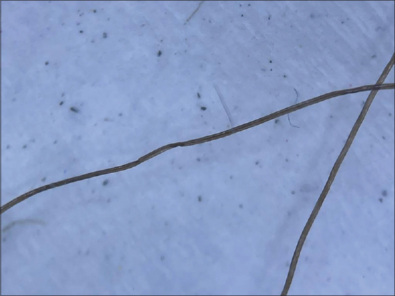 Abstract Image