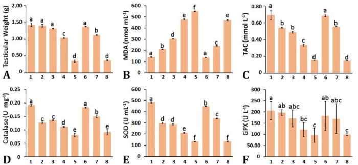 Effect of bioactive peptides on heat stress-induced testiculopathies in mature rats: immunohistopathological evidence.