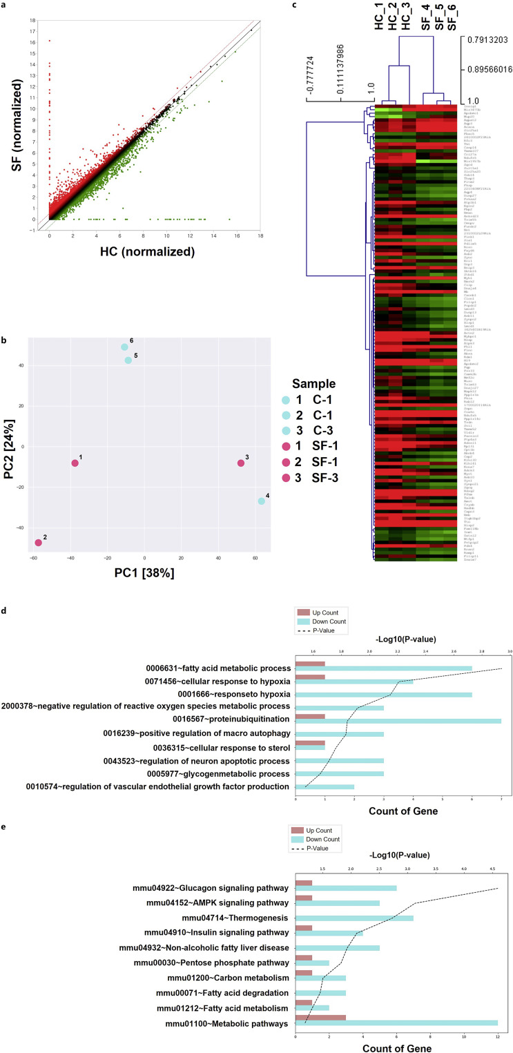 Skin Transcriptomic Analysis Reveals Altered Fatty Acid Metabolism Pathways in Mice Subjected to Sleep Fragmentation.