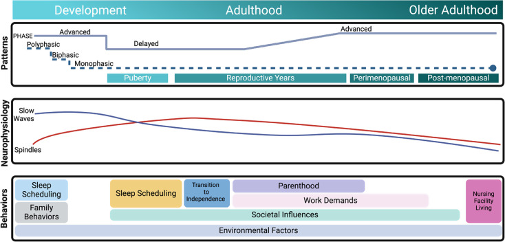 Sleep Across the Lifespan: A Neurobehavioral Perspective.