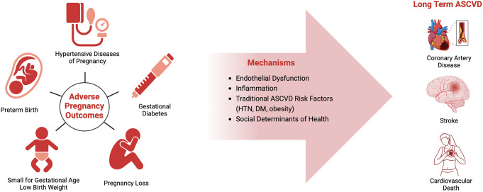 Pregnancy Complications and Long-Term Atherosclerotic Cardiovascular Disease Risk.