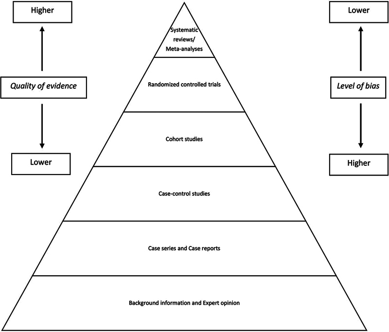 Insights into Radiology Publications.