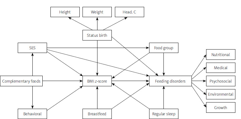 Identifying and evaluating factors related to feeding disorders in children using the path analysis method.