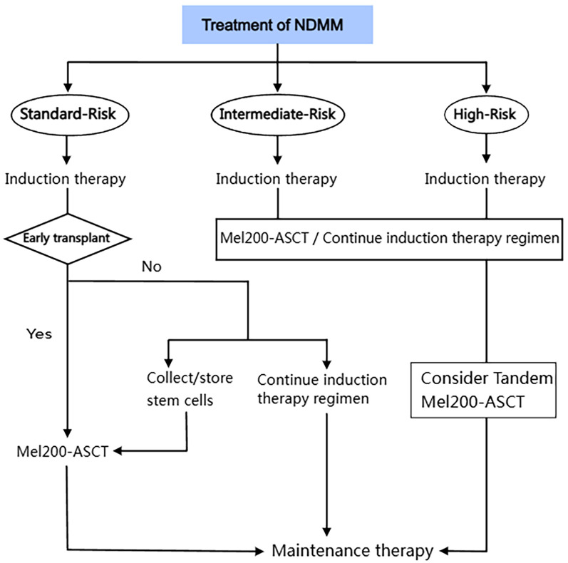 The Progress of Autologous Hematopoietic Stem Cell Transplantation in the Treatment of Multiple Myeloma (Review).