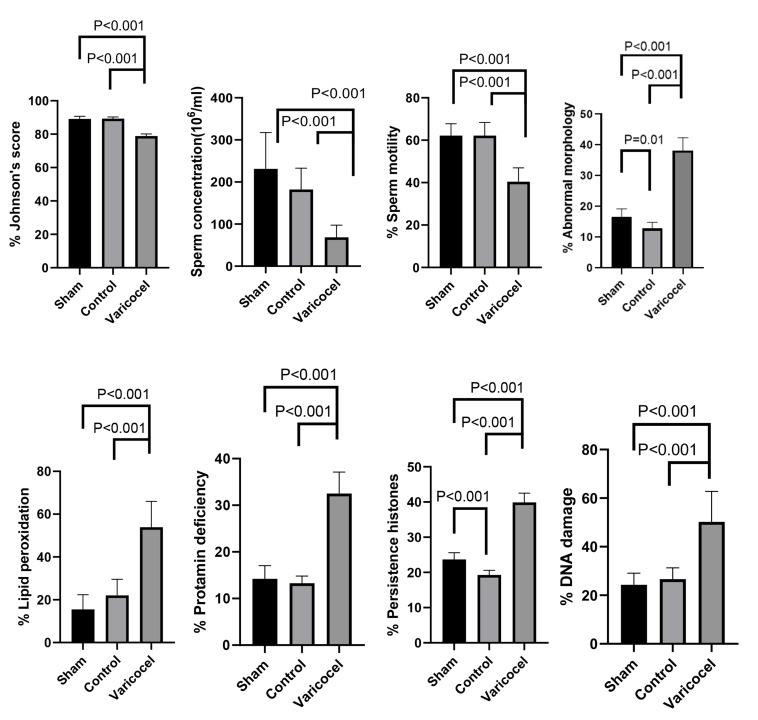 Impact of Varicocele on The Expression of Testicular Enzymes Involved in The Transsulfuration Pathway.