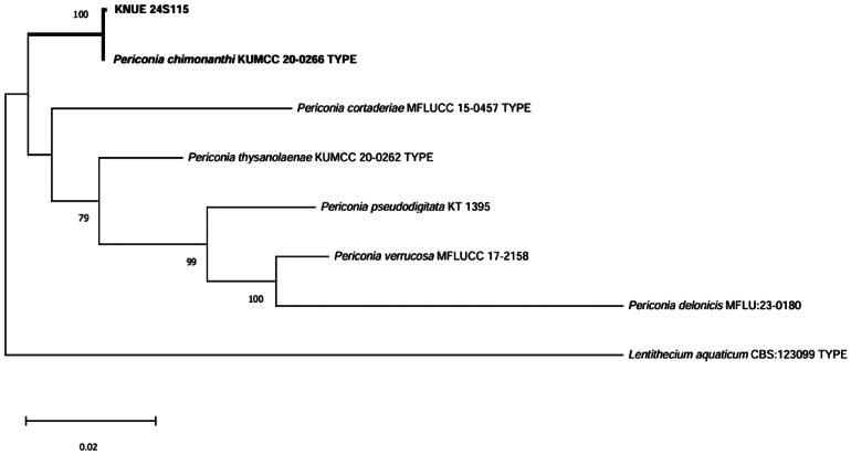 Endophytic Fungi Isolated from the Marine Macroalga <i>Dictyopteris pacifica</i> in Korea.