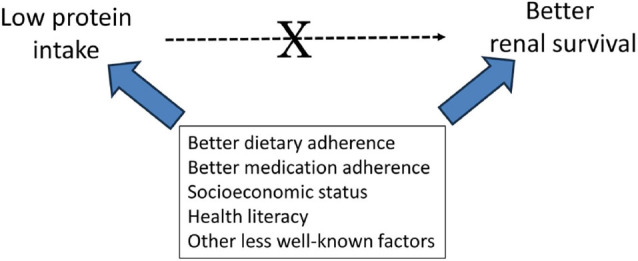 Protein restriction in CKD: an outdated strategy in the modern era.