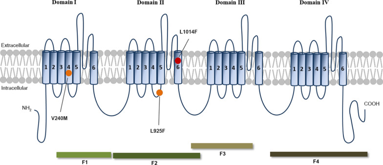 Overexpression of multiple cytochrome P450 genes with and without knockdown resistance mutations confers high resistance to deltamethrin in Culex quinquefasciatus.