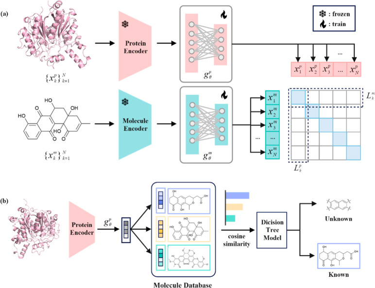 MultiT2: A Tool Connecting the Multimodal Data for Bacterial Aromatic Polyketide Natural Products.