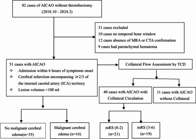 Evaluation of contralateral arterial flow compensation using transcranial Doppler in acute internal carotid artery occlusion and implications for neurological outcome.