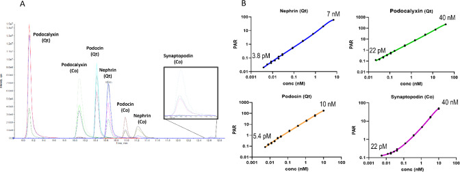 Development of a Multiplexed LC-MS/MS Assay for the Quantitation of Podocyte Injury Biomarkers Nephrin, Podocalyxin, and Podocin in Human Urine.