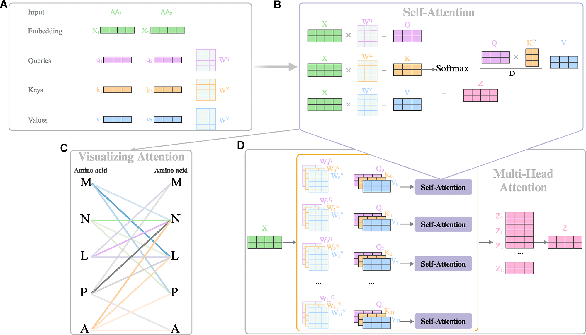 Leveraging large language models for peptide antibiotic design.