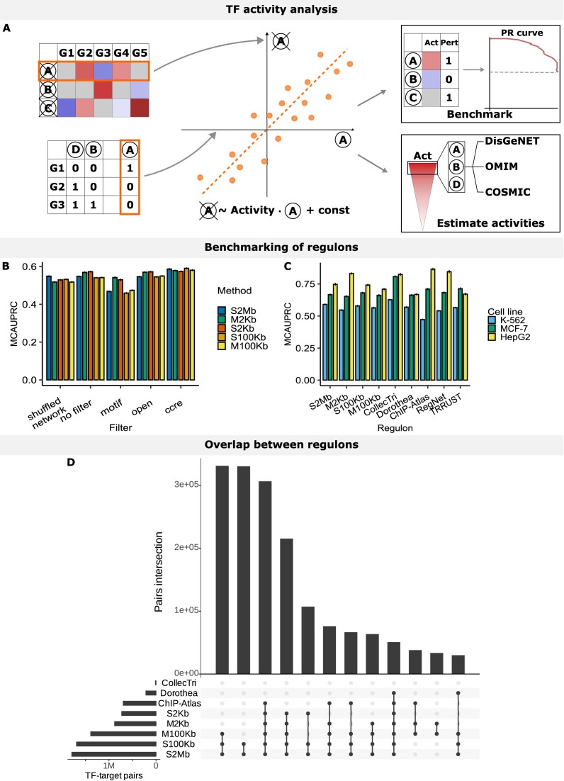 Specifying cellular context of transcription factor regulons for exploring context-specific gene regulation programs.